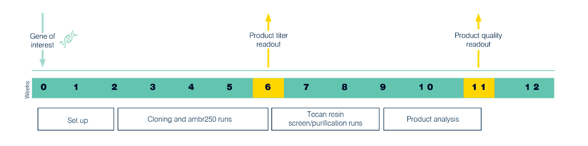 Timeline for Paveway PLUS enhanced workflow