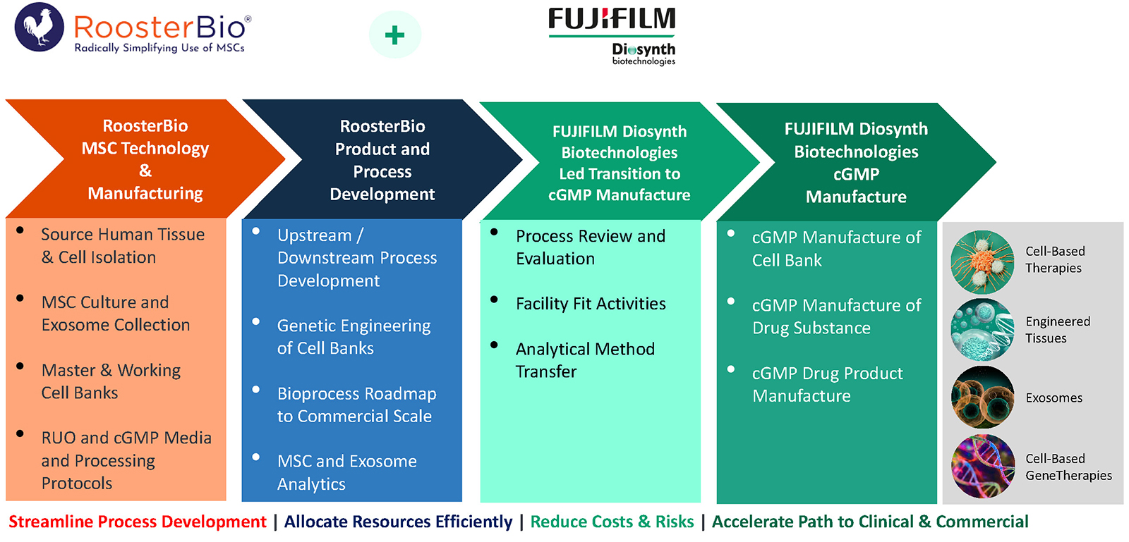 RoosterBio + FUJIFILM Biotechnologies