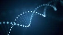 Paveway PLUS Enabling Faster Better Decisions in Early-Stage Development of Microbial-Based Biotherapeutics