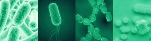 virus concept renderings