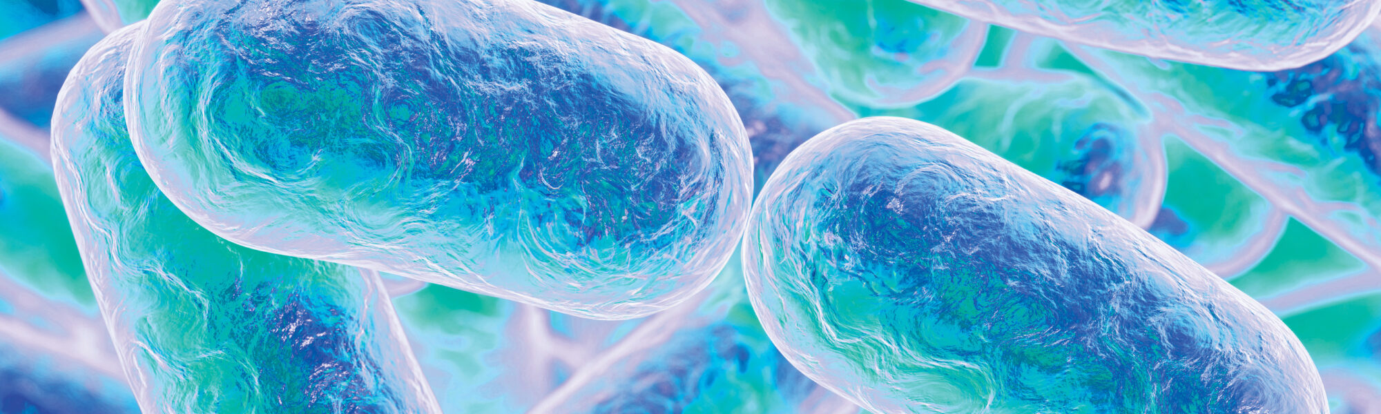 Digital bio rendering