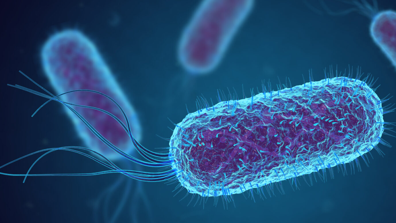 Digital bio rendering