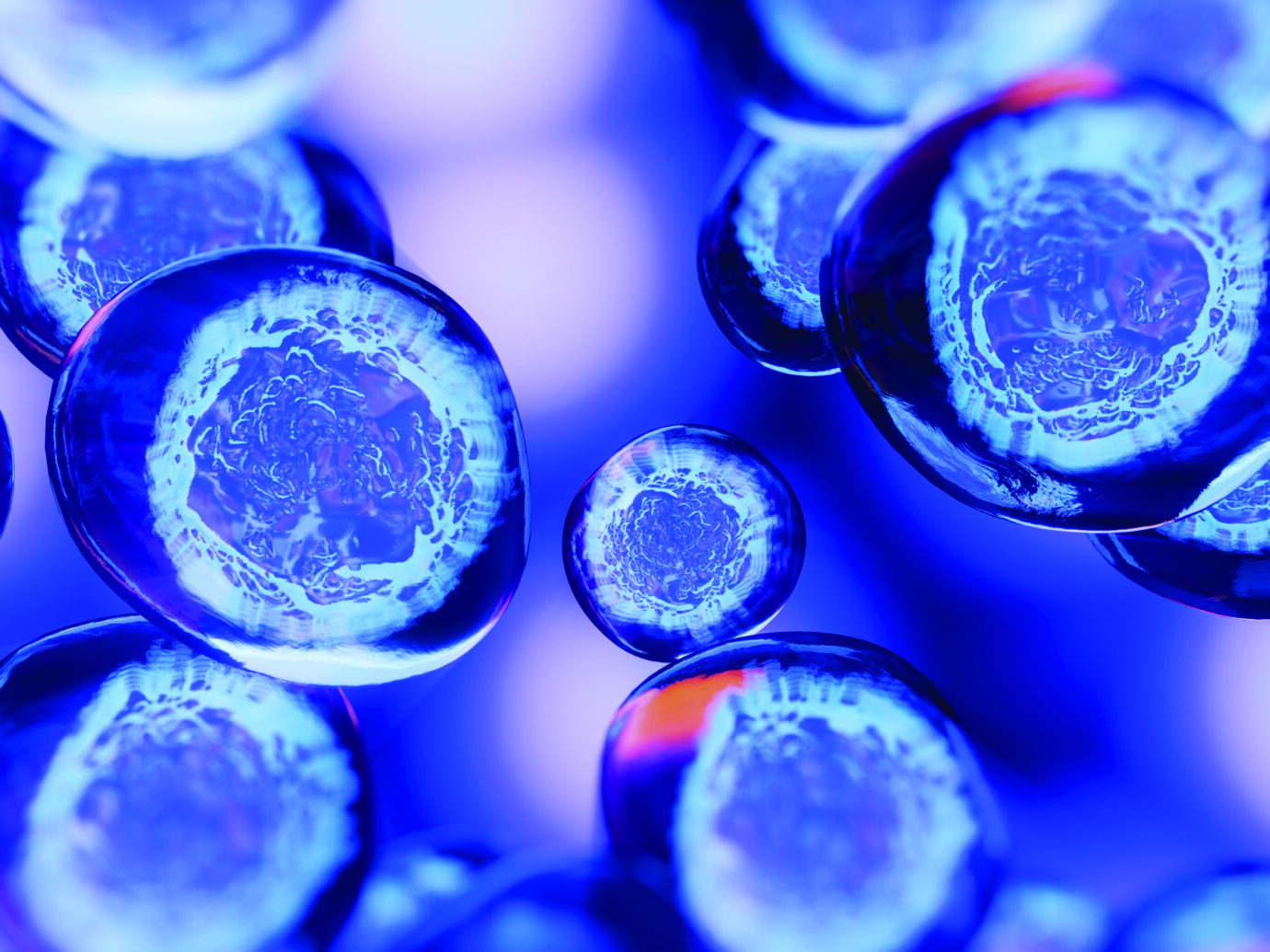 embryonic stem cells
