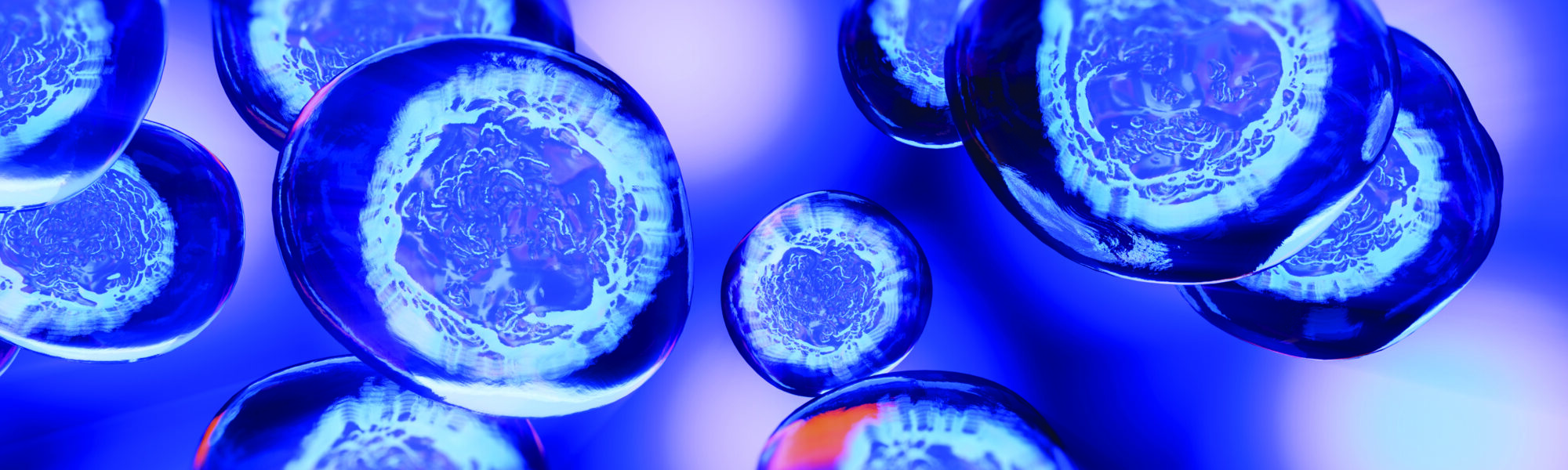 embryonic stem cells