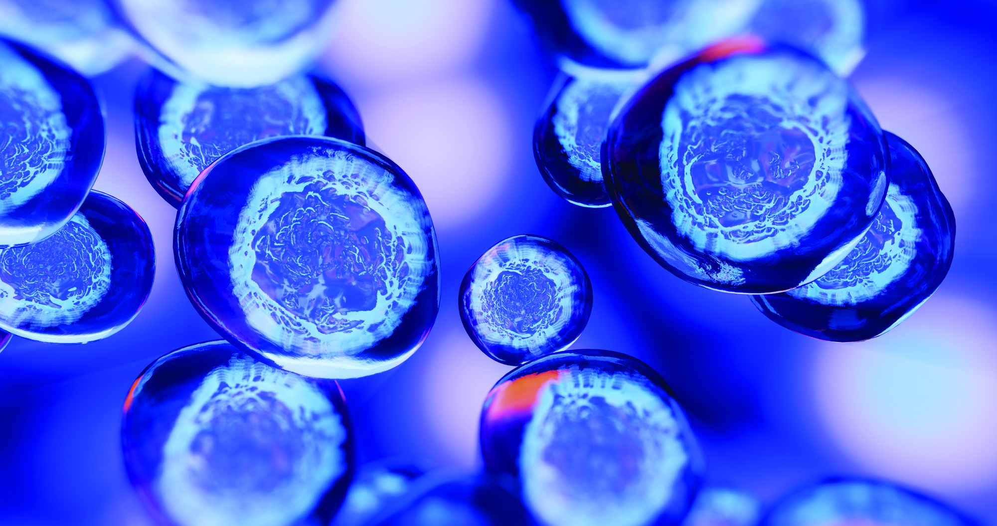 Insect and Mammalian Cell Culture Services