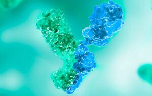 antibodies rendering