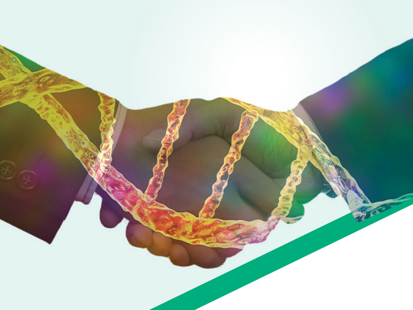 DNA design