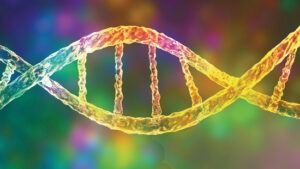 DNA rendering