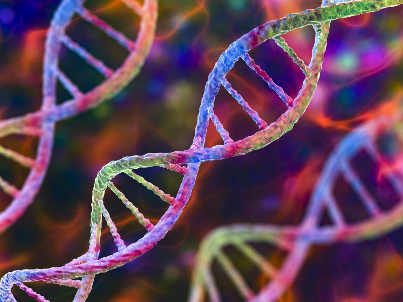 DNA strands
