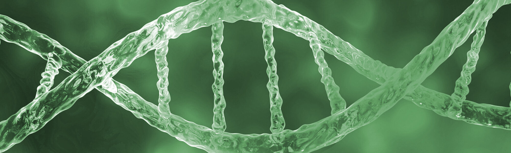 DNA rendering