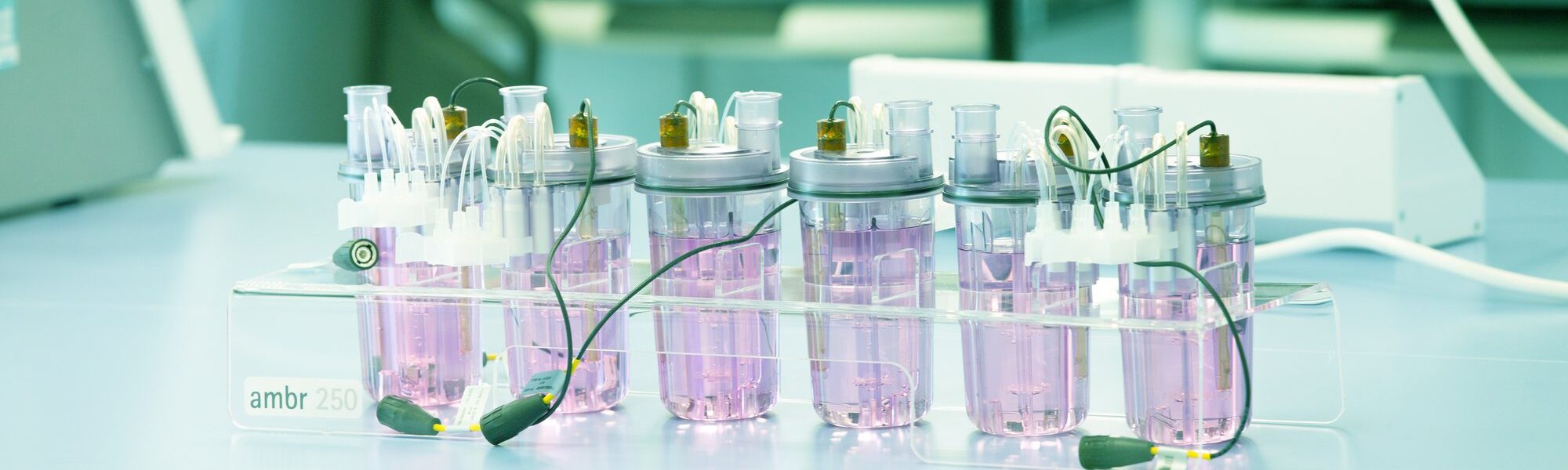 process development lab