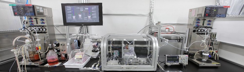 Kaisei lab