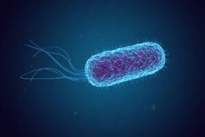 Microbe strain close up rendering
