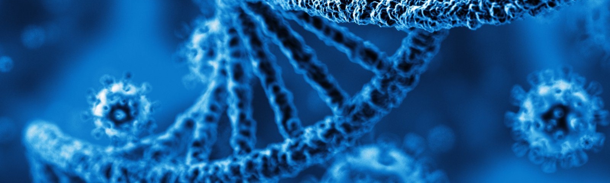 DNA rendering