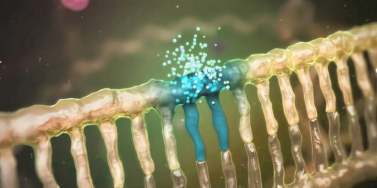 Chemotherapy drugs attack the DNA helix