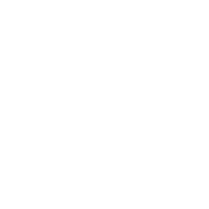 shovel icon