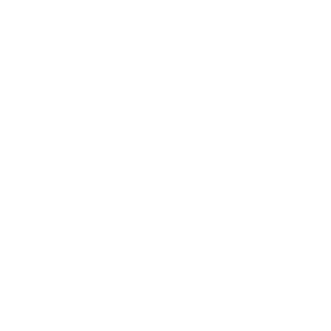 syringe icon