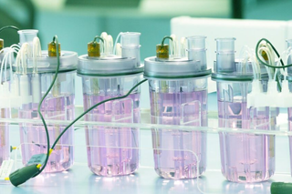 Process development services  Process development services