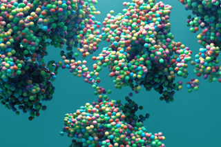 Predict First How in silico strategies can enhance efficiency in monoclonal antibody bioprocess development