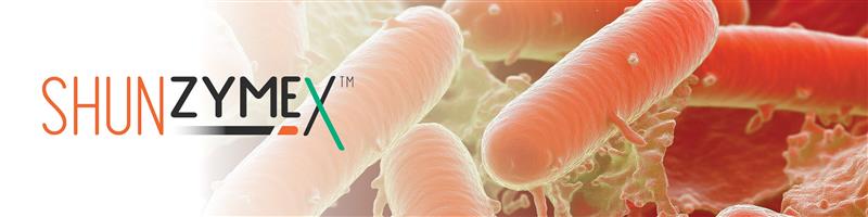 Shunzyme Email Header